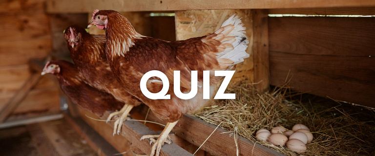 Byłeś kiedyś na wsi? To może nie wystarczyć. Quiz rozbije mieszczuchów!