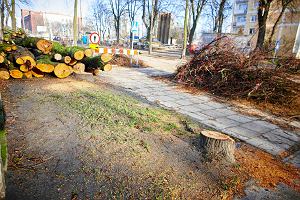Rozpoczęła się wycinka drzew pod budowę tunelu pod ul. Niciarnianą