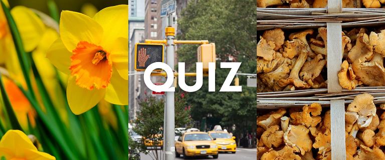Żółty quiz wiedzy ogólnej. Komplet punktów jest poza twoim zasięgiem