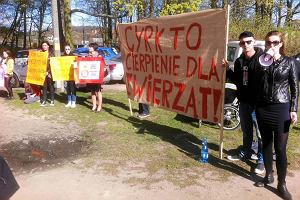 Akcja protestacyjna przeciwników tresowania zwierząt przed cyrkiem Zalewski w parku Słowiańskim w Gorzowie. Rok 2015