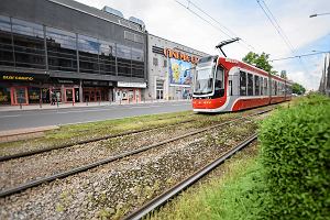 Al. Kościuszki. Po remoncie na torowisku będzie rosła trawa lub rozchodnik